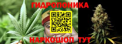 стафф Сланцы