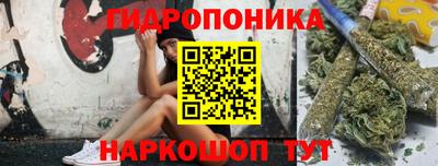 стафф Сланцы