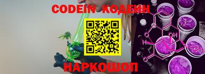 соль ск Славгород