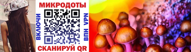 Галлюциногенные грибы мицелий  Советский 